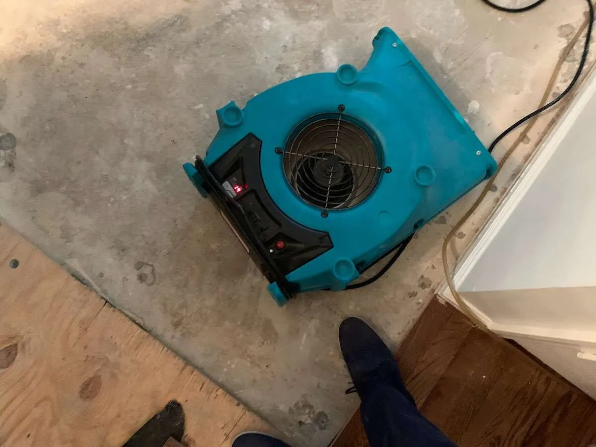 Air mover drying subfloor during Leak Detection & Repair in Andalusia